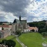 Rent 1 bedroom apartment in Brno