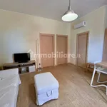 Rent 3 bedroom apartment of 80 m² in Bari