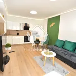 Rent 3 bedroom apartment of 55 m² in Debrecen