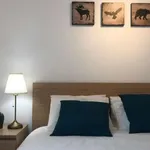 Rent a room in lisbon