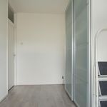 Rent 4 bedroom apartment of 89 m² in Boerhaavekwartier