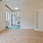 Rent 3 bedroom apartment in Brno