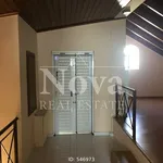 Rent 3 bedroom house of 180 m² in Pallini (Attica - Eastern Suburbs)