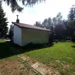 Rent 2 bedroom house of 80 m² in Toruń