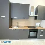 Rent 2 bedroom apartment of 47 m² in Milan