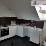 Rent 1 bedroom apartment of 15 m² in Praha