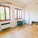 Pronájem bytu 1+kk 24m²