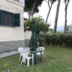 Rent 2 bedroom apartment of 60 m² in Velletri