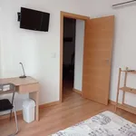 Rent a room of 150 m² in alicante