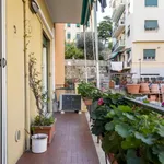 Rent 2 bedroom apartment in Genoa