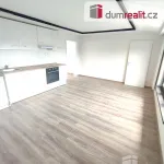 Pronájem bytu 2+1 69m²