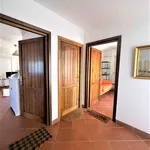 Rent 2 bedroom apartment of 45 m² in Roma