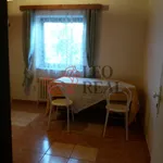 Rent 1 bedroom apartment of 30 m² in Pilsen