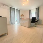 Rent 4 bedroom house of 907 m² in Budapest