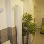 Rent 3 bedroom apartment in Bologna