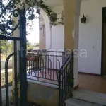 Rent 3 bedroom apartment of 100 m² in Castelvetrano