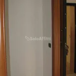 Rent 2 bedroom apartment of 55 m² in Casamassima