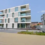 Gelijkvloers 2 slpk appartement met terras en ondergrondse