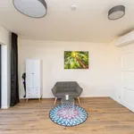 Studio of 334 m² in Berlin