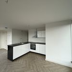 Rent 3 bedroom apartment of 75 m² in Zwolle