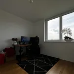 3 Zimmer-Wohnung | Balkon | Modern