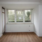 Großzügige 2-Zimmer-Souterrainwohnung mit Wohnküche