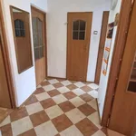 Rent 3 bedroom apartment of 48 m² in Płock