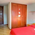 Rent a room in madrid