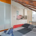 Rent 1 bedroom apartment of 45 m² in Torino