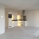 Rent 1 bedroom apartment of 79 m² in Eindhoven