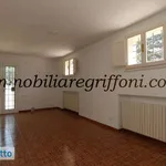 Rent 4 bedroom apartment of 100 m² in Bologna