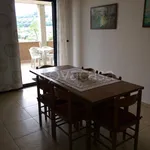 Rent 4 bedroom apartment of 110 m² in Pineto