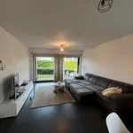 Rent 1 bedroom apartment in Gavere