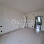 Rent 2 bedroom apartment of 60 m² in Lodi