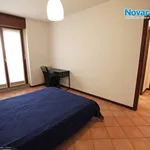 Rent 2 bedroom apartment of 55 m² in Novara