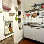 Rent 1 bedroom apartment of 35 m² in Firenze