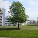 Rent 3 bedroom apartment of 78 m² in Hagen