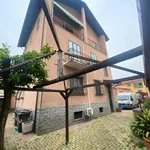 Rent 3 bedroom apartment of 80 m² in Turin