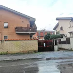 Rent 3 bedroom apartment of 75 m² in Roma