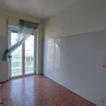 Affitto 3 camera appartamento di 80 m² in salerno