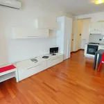 Rent 1 bedroom apartment of 40 m² in Roma