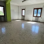 Rent 13 bedroom apartment of 500 m² in Frosinone