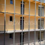 Rent 2 bedroom apartment of 45 m² in Torino