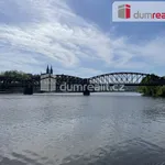 Rent 1 bedroom apartment of 42 m² in Prague