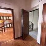 Rent 2 bedroom apartment of 60 m² in Palermo