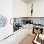 Rent 2 bedroom apartment of 50 m² in Santa Marinella