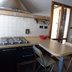 Rent 3 bedroom apartment of 100 m² in Bologna