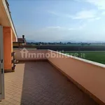 Rent 5 bedroom apartment of 130 m² in Parma