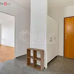 Rent 5 bedroom apartment of 89 m² in Praha