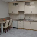 Rent 1 bedroom apartment of 40 m² in Szczecin